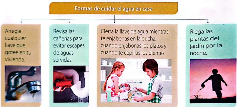 Figura 3 de Ciencias Naturales · 4 EGB · 2025
