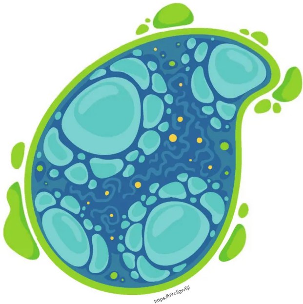 Figura 2 de Biologia · 1ro BGU · 2024