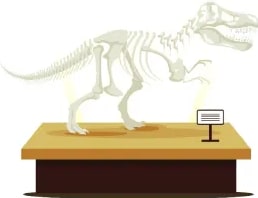 Figura 1 de Lengua Y Literatura · 6 EGB · 2025