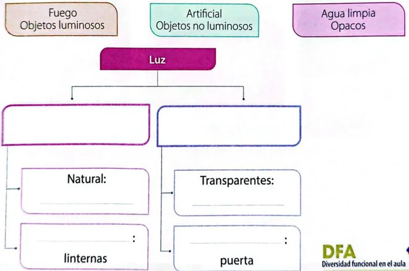 Figura 2 de Ciencias Naturales · 4 EGB · 2025