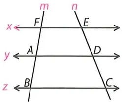 Figura 4 de Matematica · 8 EGB · 2025