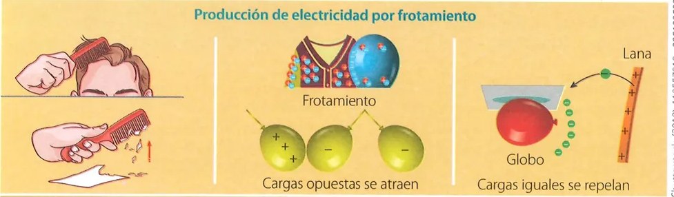 Figura 4 de Ciencias Naturales · 7 EGB · 2024