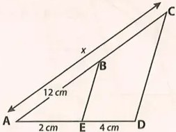 Figura 6 de Matematica · 10 EGB · 2025