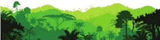 Figura 5 de Lengua Y Literatura · 6 EGB · 2025