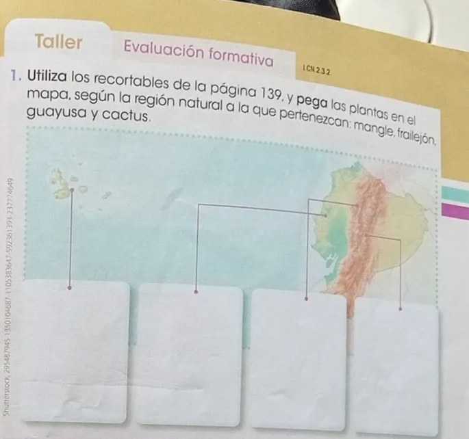 Figura 6 de Ciencias Naturales · 3 EGB · 2024