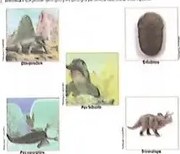 Figura 3 de Ciencias Naturales · 10 EGB · 2024