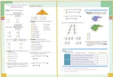 Figura 5 de Matematica · 8 EGB · 2025