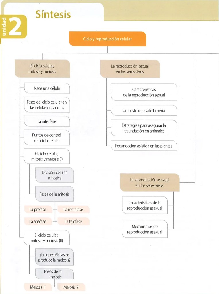 Figura 2 de Ciencias Naturales · 9 EGB · 2024