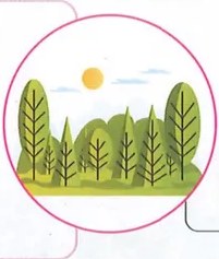 Figura 3 de Ciencias Naturales · 9 EGB · 2024