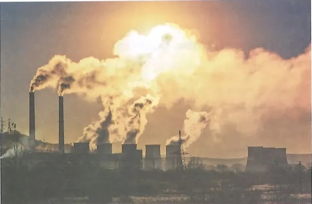 Figura 1 de Ciencias Naturales · 8 EGB · 2025