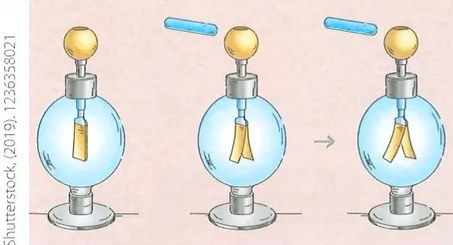 Figura 2 de Ciencias Naturales · 7 EGB · 2024