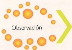 Figura 4 de Ciencias Naturales · 9 EGB · 2024