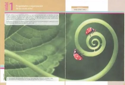 Figura 2 de Ciencias Naturales · 8 EGB · 2025