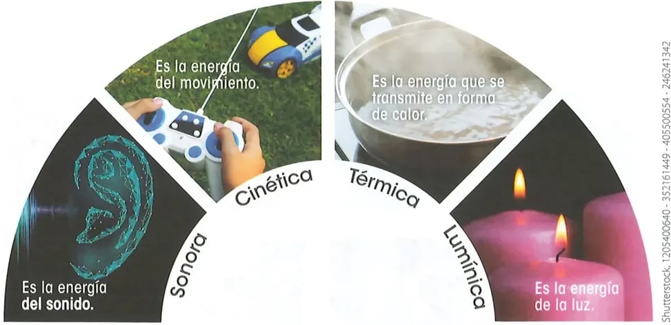 Figura 1 de Ciencias Naturales · 2 EGB · 2025