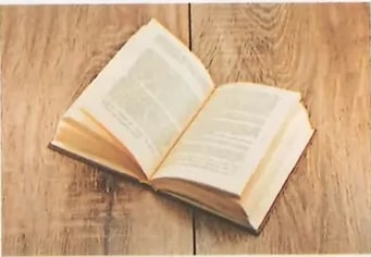 Figura 2 de Lengua Y Literatura · 8 EGB · 2025