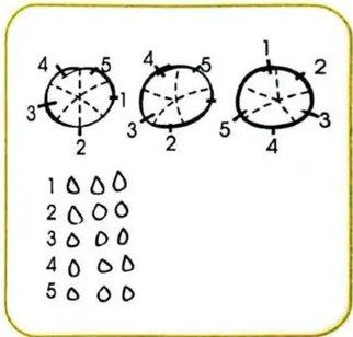 Figura 2 de Matematica · 3 EGB · 2025