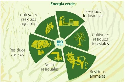 Figura 3 de Ciencias Naturales · 6 EGB · 2025