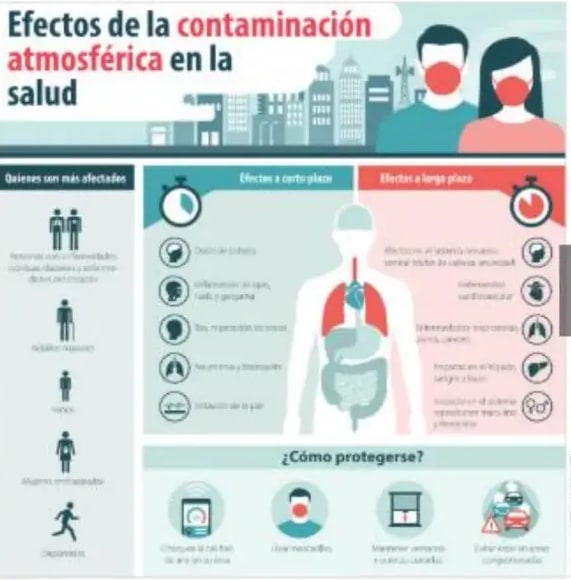 Figura 3 de Ciencias Naturales · 5 EGB · 2024