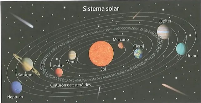 Figura 2 de Ciencias Naturales · 8 EGB · 2025