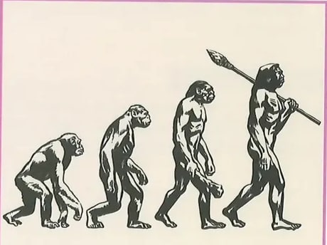 Secuencia clásica de evolución humana en cuatro etapas (primate cuadrúpedo a Homo sapiens)