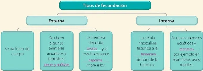 Figura 2 de Ciencias Naturales · 6 EGB · 2025