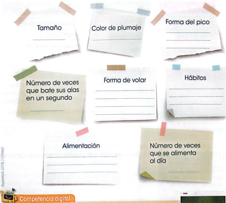 Figura 2 de Lengua Y Literatura · 3 EGB · 2025