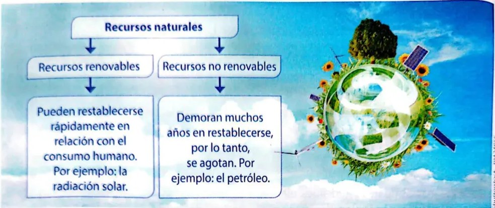 Figura 2 de Ciencias Naturales · 4 EGB · 2025