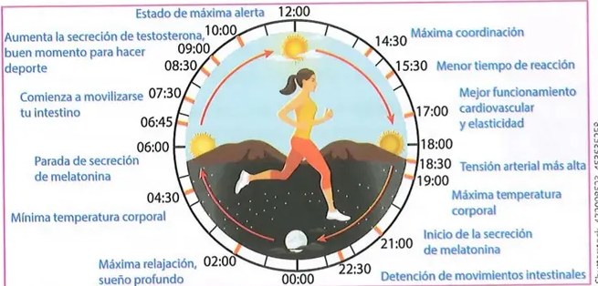 Figura 2 de Ciencias Naturales · 8 EGB · 2025