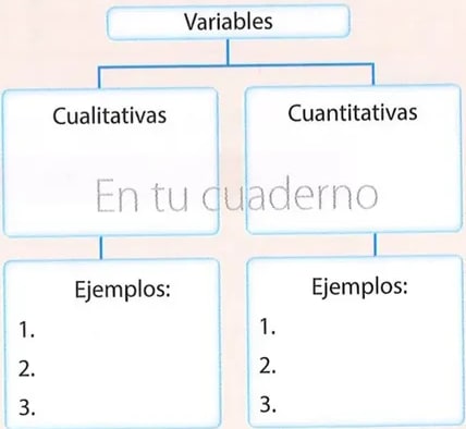 Figura 1 de Matematica · 8 EGB · 2025