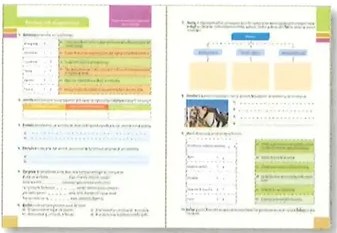Figura 2 de Lengua Y Literatura · 10 EGB · 2025