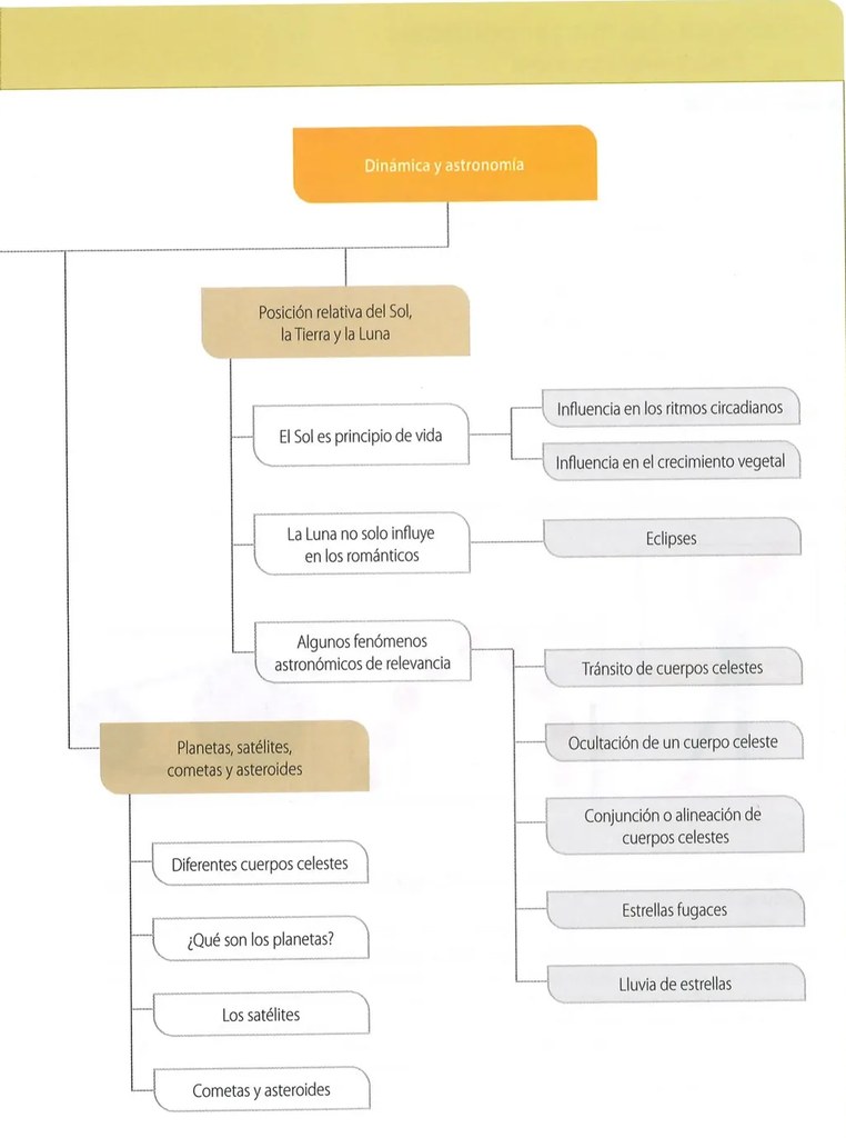 Figura 2 de Ciencias Naturales · 8 EGB · 2025