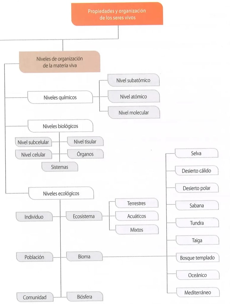 Figura 1 de Ciencias Naturales · 8 EGB · 2025
