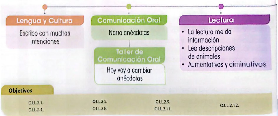Figura 3 de Lengua Y Literatura · 3 EGB · 2025