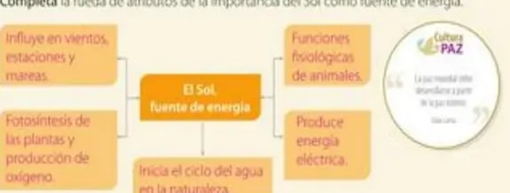 Estructura del Sol con etiquetas de corona, fotósfera, cromósfera y núcleo.