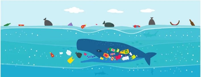 Figura 2 de Ciencias Naturales · 6 EGB · 2025