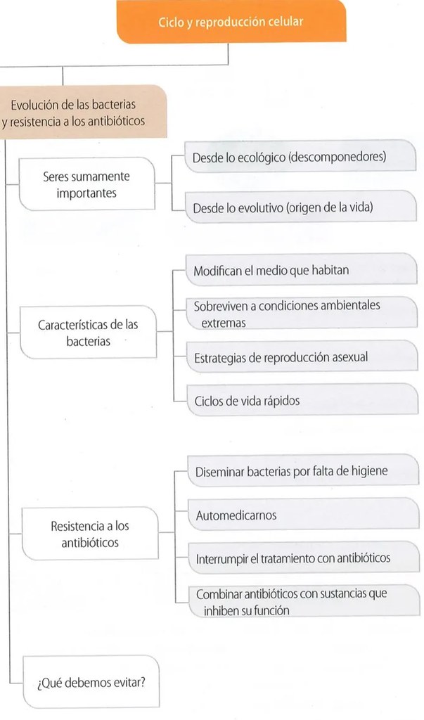 Figura 2 de Ciencias Naturales · 9 EGB · 2024