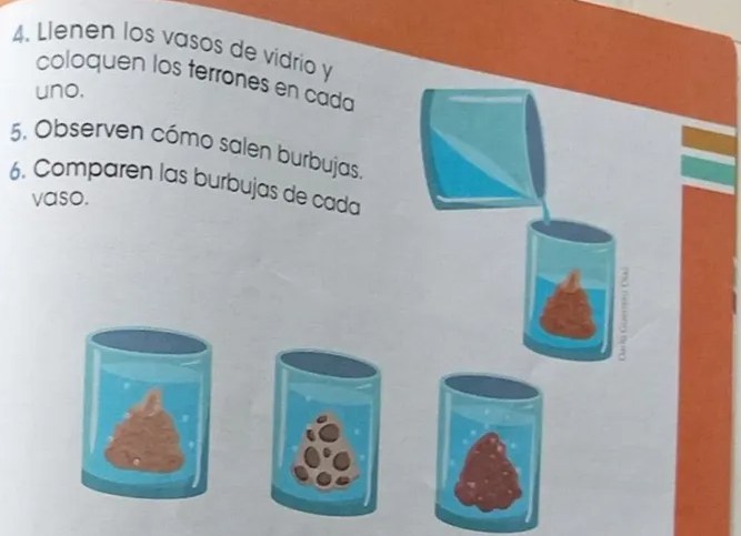 Figura 5 de Ciencias Naturales · 3 EGB · 2024