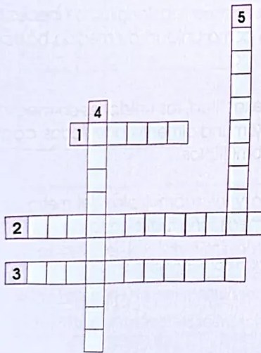 Figura 2 de Matematica · 4 EGB · 2024
