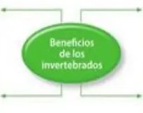 Figura 4 de Ciencias Naturales · 5 EGB · 2024