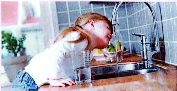Figura 2 de Ciencias Naturales · 4 EGB · 2025