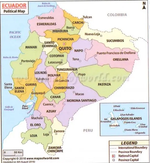 Figura 2 de Matematica · 8 EGB · 2025