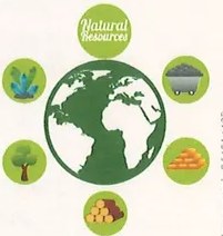 Figura 4 de Ciencias Naturales · 9 EGB · 2024