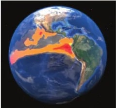 Figura 2 de Ciencias Naturales · 6 EGB · 2025