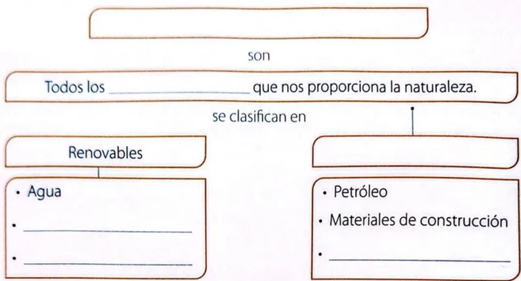 Figura 2 de Ciencias Naturales · 4 EGB · 2025