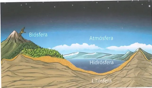 Figura 4 de Ciencias Naturales · 8 EGB · 2025