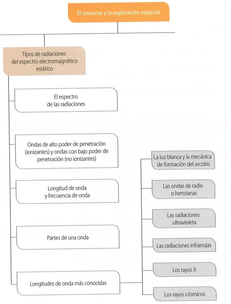 Figura 2 de Ciencias Naturales · 10 EGB · 2024