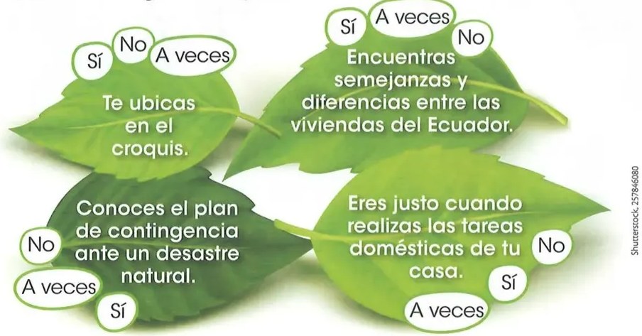 Figura 4 de Estudios Sociales · 2 EGB · 2025