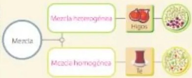 Figura 6 de Ciencias Naturales · 5 EGB · 2024