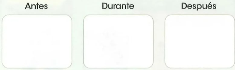 Recuadro vacío para dibujar/pegar.