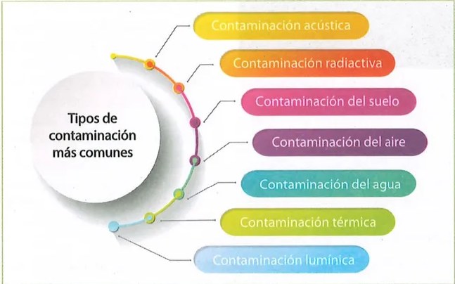 Figura 2 de Ciencias Naturales · 9 EGB · 2024